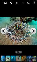 deep sea animals capture d'écran 3