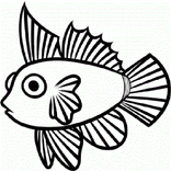 ”Drawing Fish