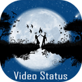 Video Status