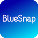 BlueSnap-GooglePay Demo APK