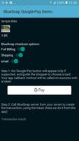 BlueSnap-GooglePay Demo screenshot 1