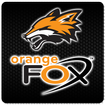 Orange Fox Panic