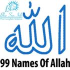 99 Names of Allah simgesi