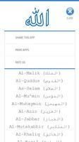 99 Names of Allah ภาพหน้าจอ 1