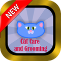 Cat Care & Grooming