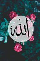 Allah Wallpapers HD 스크린샷 1