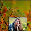 Autumn Photo Frames HD aplikacja