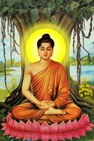 Buddha Wallpapers HD imagem de tela 3