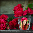 Red Rose Photo Frames HD biểu tượng