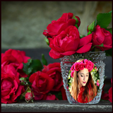 Red Rose Photo Frames HD 圖標