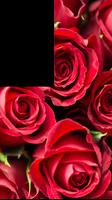 Red Rose Photo Frames HD plakat