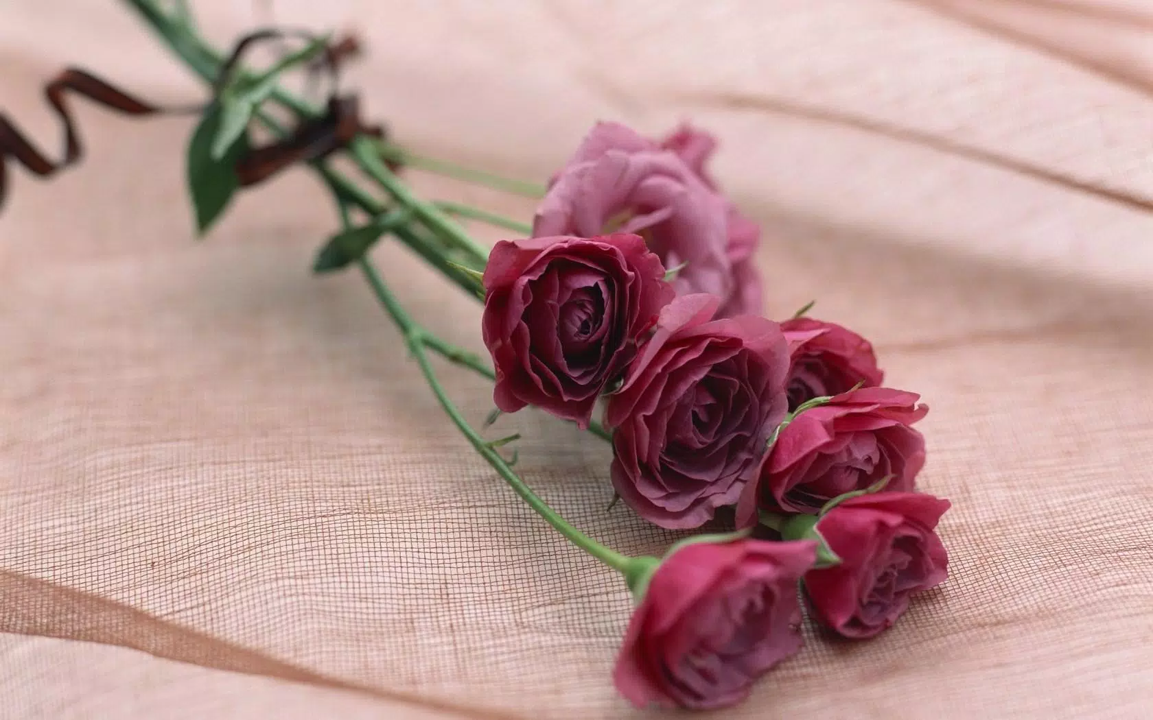 Red Rose Wallpapers APK for Android Download Red Rose Wallpapers APK for Android Download