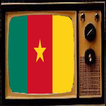 TV From Cameroon Info