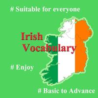 Irish language in everyday life screenshot 3