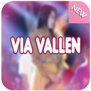 Lagu Via Vallen Lengkap APK