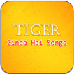 ”Tiger Zinda Hai Songs Full