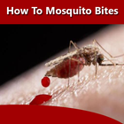How To Stop Mosquito Bites icône