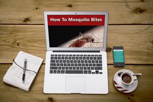 How To Stop Mosquito Bites capture d'écran 2