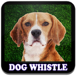 Dog Whistle - Trainer