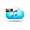 Simple music downloaderv2