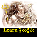 Learn Rudram with Meaning APK