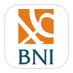 BNI SR 2014 (English)