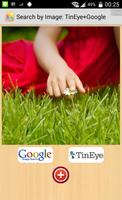 برنامه‌نما TinEye Google: Search by Image عکس از صفحه