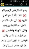 القرآن الكريم مكتوب اسکرین شاٹ 3