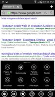 THEME METRO FOR BOAT BROWSER screenshot 2