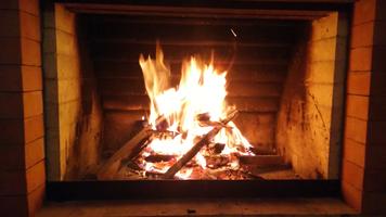 Fireplace Full HD screenshot 1