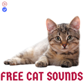 Cat sounds