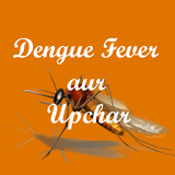 Dengue Fever aur Upchar icône