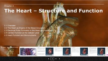 CHE: Cardiovascular System 포스터