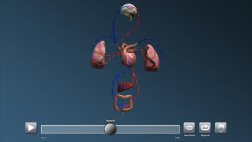 CHE: Cardiovascular System syot layar 2
