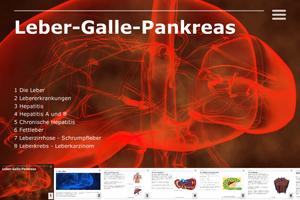 CHE: Liver Gall Pancreas Affiche