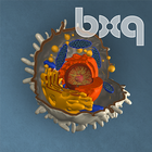 bodyxq cell library icône