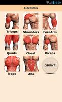 Body Building poster