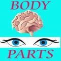 LEARN BODY PARTS