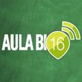 Aula BI
