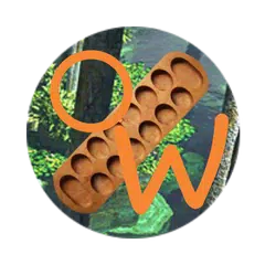 OWARE GAME