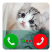 Fake Call Talking Cat Hank APK