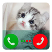 Fake Call Talking Cat Hank