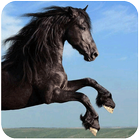 Horse Racing Tips icône