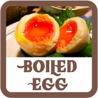 Boiled Egg Recipes Full icono