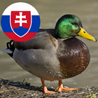 Zvuky slovenských zvierat icône