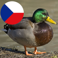 Zvuky českých zvířat