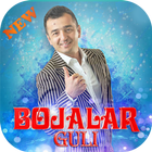 Bojalar ไอคอน