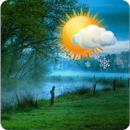 Daily weather-APK