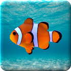 Point The Fish! Aquarium Games icon