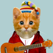 Music Cats Play